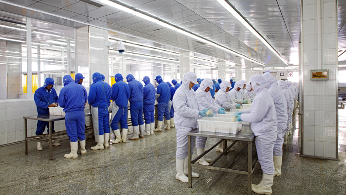 entorno de procesamiento1